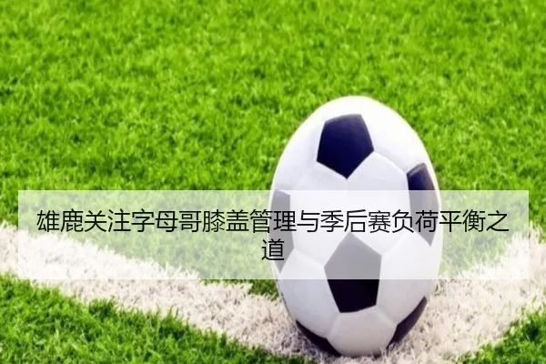 雄鹿关注字母哥膝盖管理与季后赛负荷平衡之道
